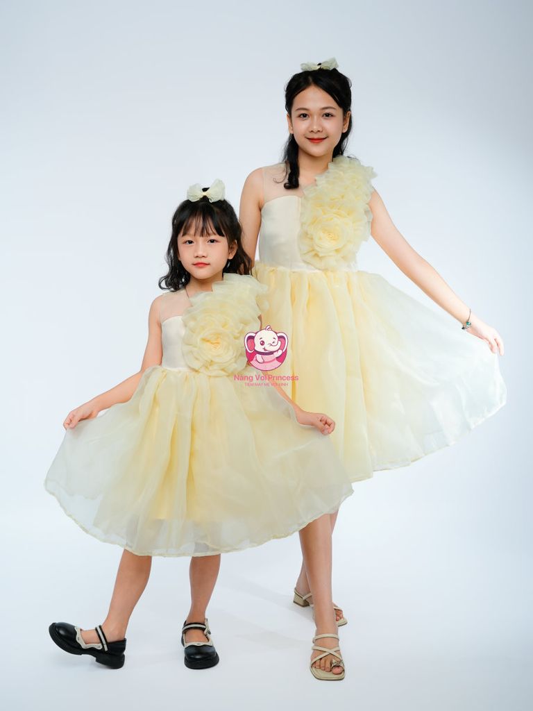 Váy công chúa hoa hồng lệch vai, cho bé từ 7kg tới 45kg