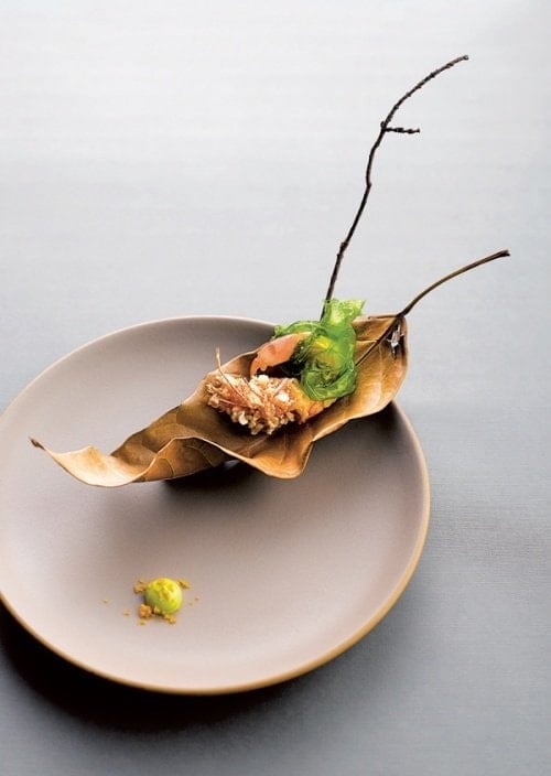 Sola: Hiroki Yoshitake – Món Quà Của Chef
