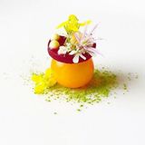  Phụ Gia Thực Phẩm Alginate 1kg - Louis Francois 