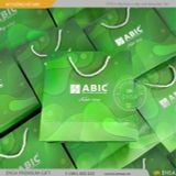  ĐÔNG HỒ PHALE 01 (ABIC) 
