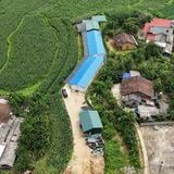  Gói thầu EC02 - Dự án đầu tư xây dựng tuyến cao tốc Đồng Đăng (tỉnh Lạng Sơn) - Trà Lĩnh (tỉnh Cao Bằng) 