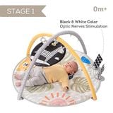 Thảm vận động 360 có nhạc - Savannah 360 activity gym Taf Toys