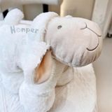 Gấu bông Honper kiêm gối Softlife