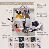 Đồ chơi phát triển cho trẻ sơ sinh màu đen trắng - Newborn Black & white kit Taf Toys
