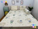 Ga chống thấm ú òa cotton cao cấp gấu khí cầu be 2m*2m2