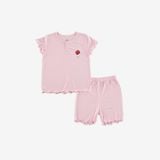 Bộ bèo tay cổ trụ Siro 303 Bubaby