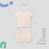 Bộ cộc tay kẻ vàng trắng Nous NL2S25-SC2-F02-TY-0M