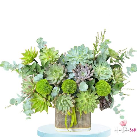 Tìm Về Cội Nguồn