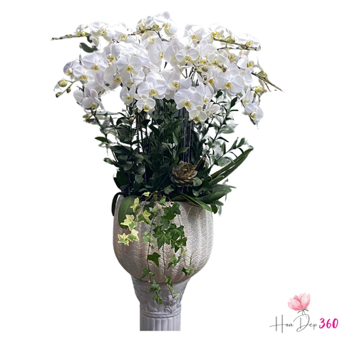 Lan Hồ Điệp Công Thành Danh Toại