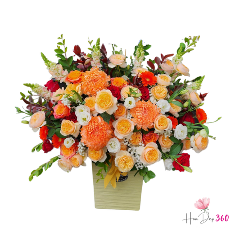 Giỏ Hoa Khát Vọng tuổi trẻ