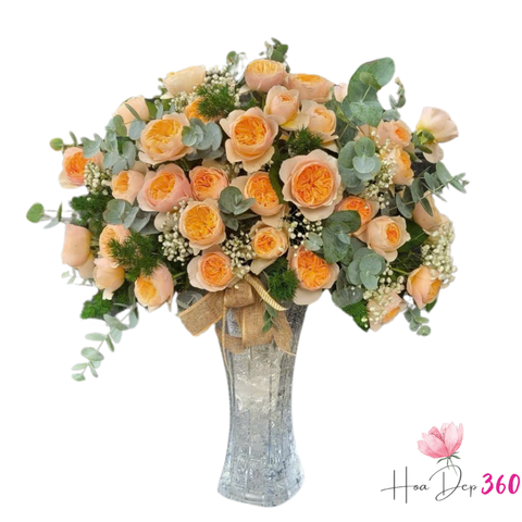 Bình hoa hồng triệu đô Juliet