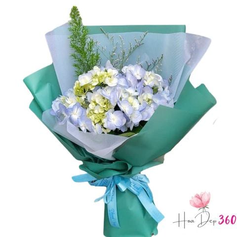 Bó Hoa Cẩm Tú Cầu Nhỏ Xinh