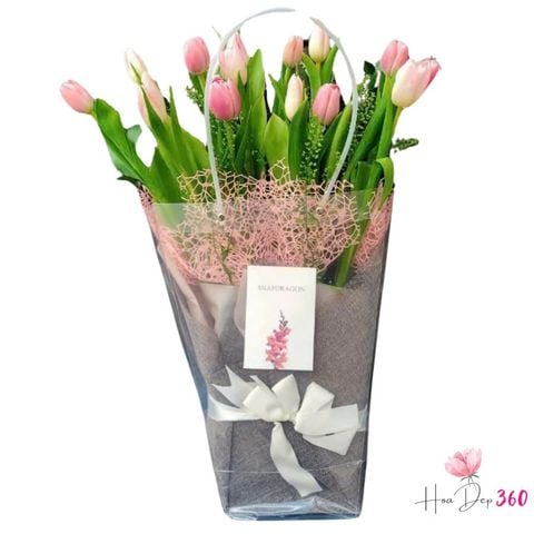 Tulip Hồng