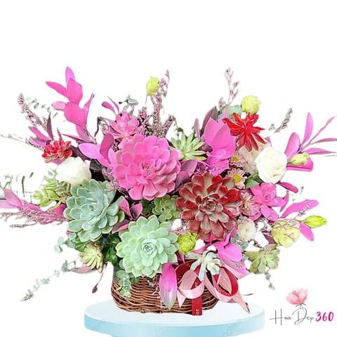 Sen Đá Thiên Lôi