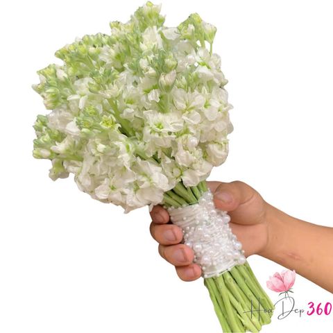 Bó hoa cưới phi yến