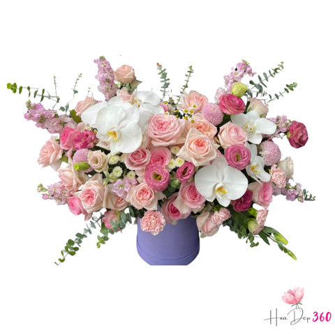 Giỏ Hoa Ánh Sáng Dẫn Đường