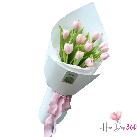 Bó Hoa Tulip hồng 2
