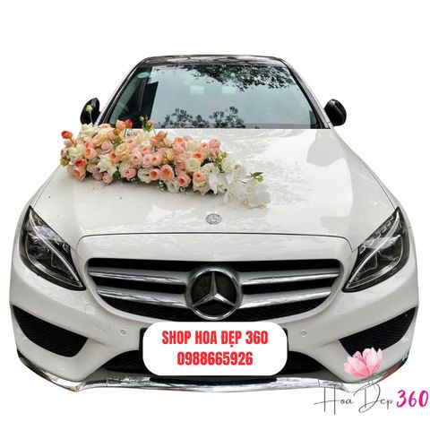 Xe Hoa Sắc Hương Lộng Lẫy