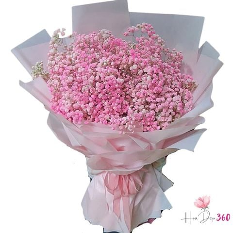 Bó Baby hồng