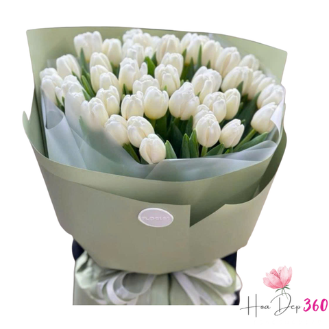 Bó Hoa Tulip Trắng Thanh Khiết