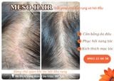  Liệu Trình Meso Hair 