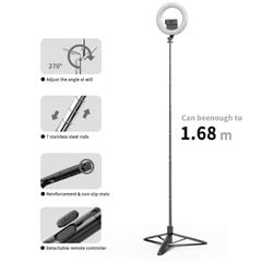 Gậy chụp hình tích hợp Tripod và Đèn USAMS ZB241 Portable Live Show LED Ring Light Selfie Stick With Tripod (Max Height: 1.68m)