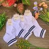 Tất cổ ngắn Nam Nữ Set 10 Đôi Hàn Quốc hoạ tiết Tim - Sọc 2 màu. Vải cotton dày dặn thoáng mát êm chân .