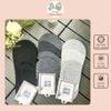Tất Vớ Lười Nam Nữ Trơn  Set 10 đôi Màu Sắc Basic Chất Liệu Dày Dặn Mềm Mịn Co Giãn Tốt Thời Trang