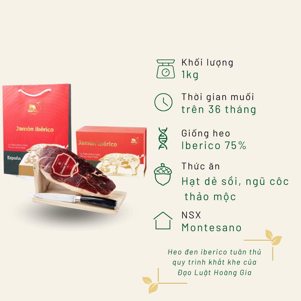 Hộp quà đùi heo muối trước Montesano mini 1KG Iberico Bellota 75% 36 tháng