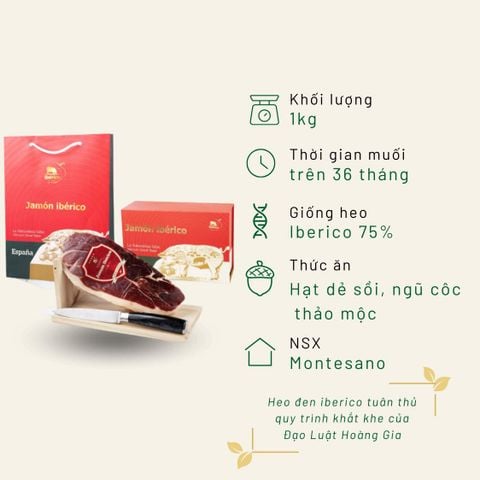Hộp quà đùi heo muối trước Montesano mini 1KG Iberico Bellota 75% 36 tháng