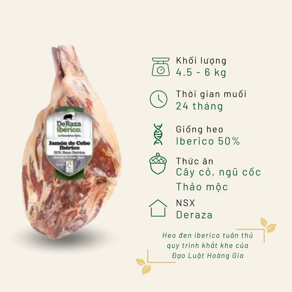 Đùi sau Iberico Cebo Deraza không xương 24 tháng KG