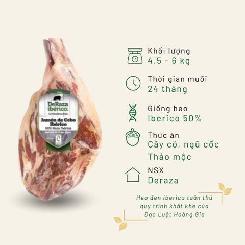 Đùi sau Iberico Cebo Deraza không xương 24 tháng KG