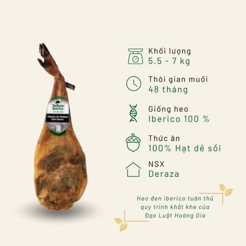 Đùi trước Iberico Bellota Deraza có xương 100% 48 tháng KG