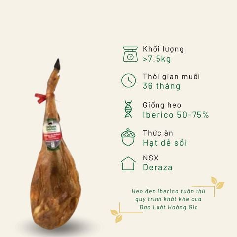 Đùi trước Iberico Bellota Deraza có xương 36 tháng KG