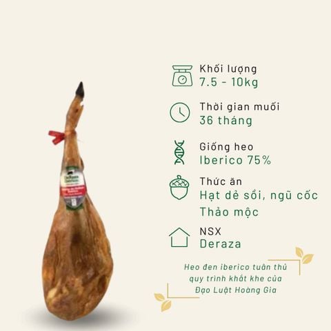 Đùi sau Iberico Bellota Deraza có xương 36 tháng KG
