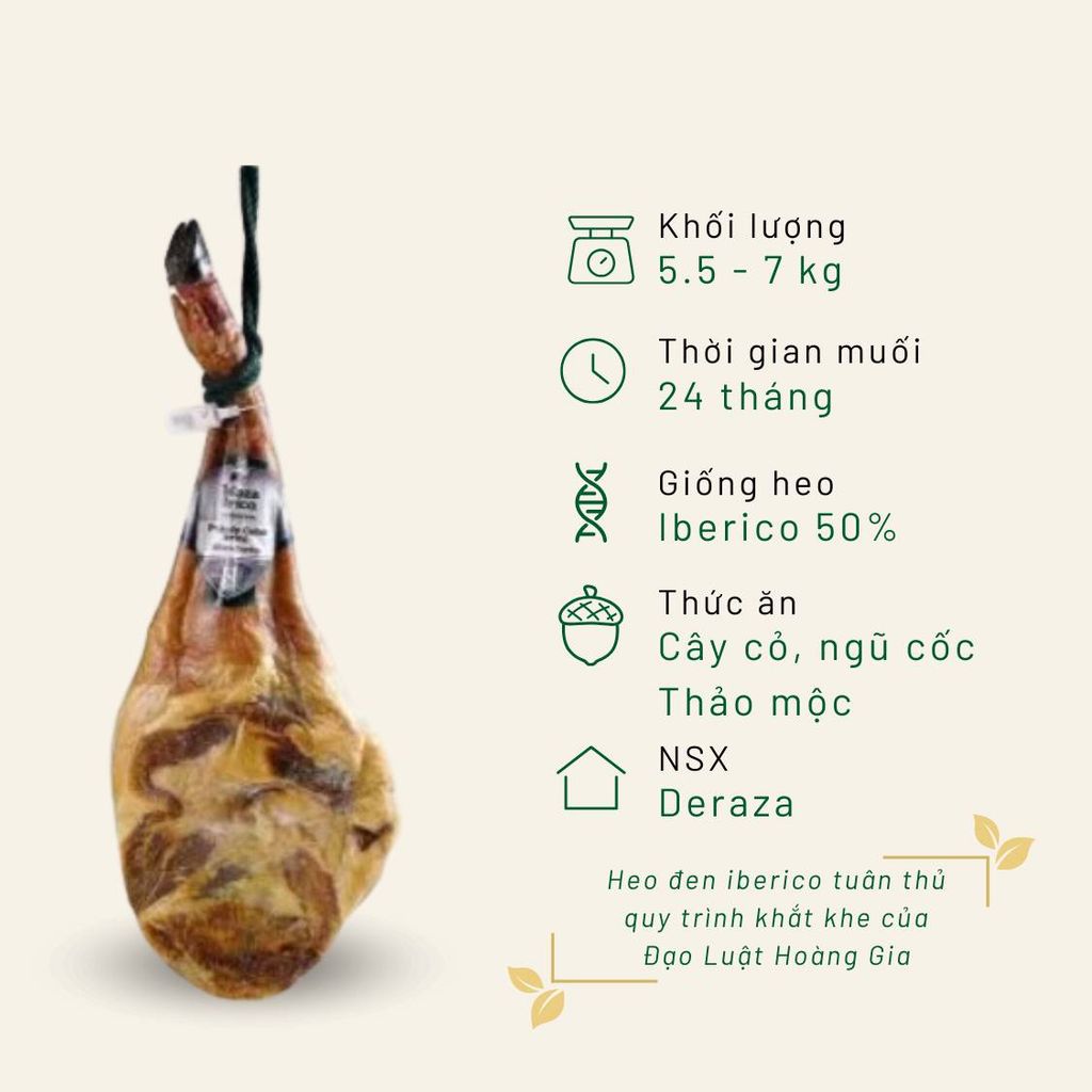 Đùi trước Iberico Cebo Deraza có xương 24 tháng KG