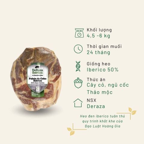 Đùi trước Iberico Cebo Deraza không xương 24 tháng KG
