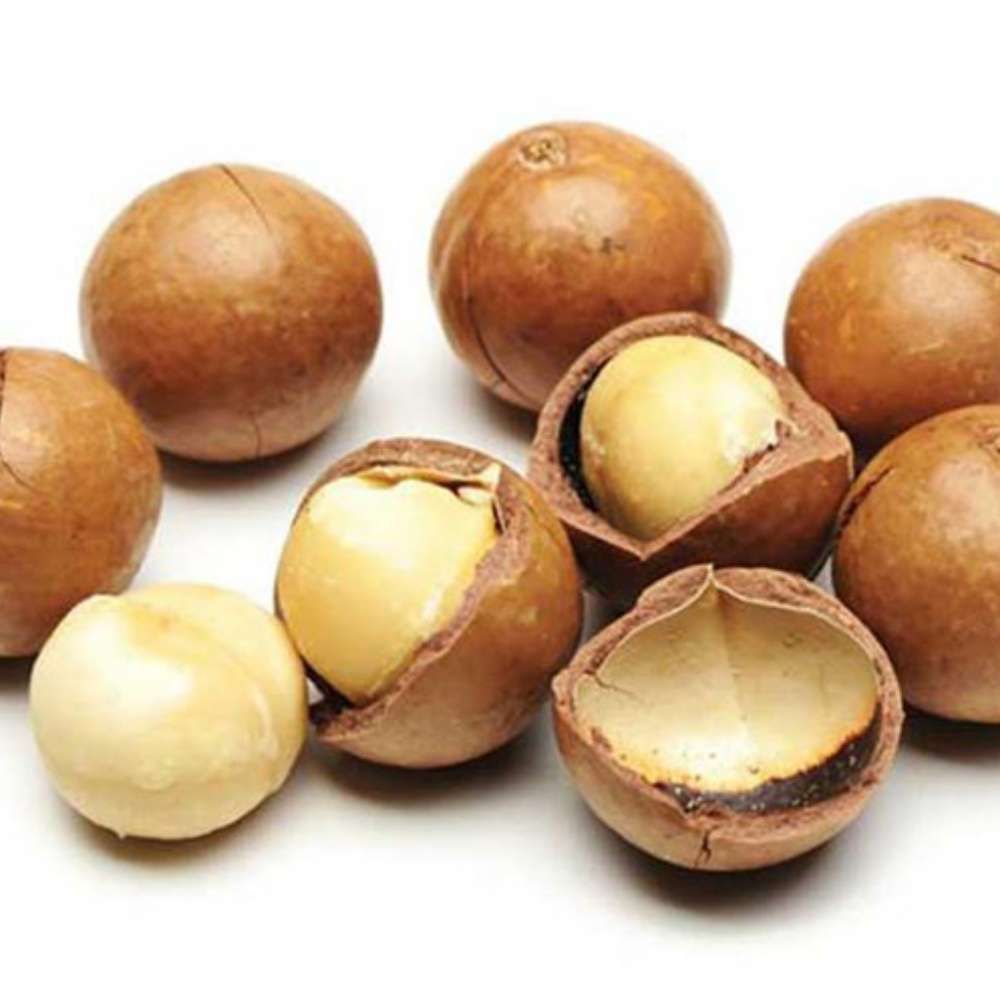 Hạt macadamia Tinh Hoa Toàn Cầu hũ thuỷ tinh 150g