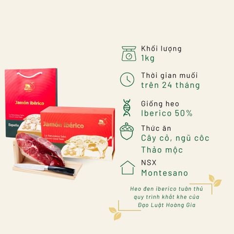 Hộp quà đùi heo muối sau Montesano mini 1KG Iberico Cebo 50% 24 tháng