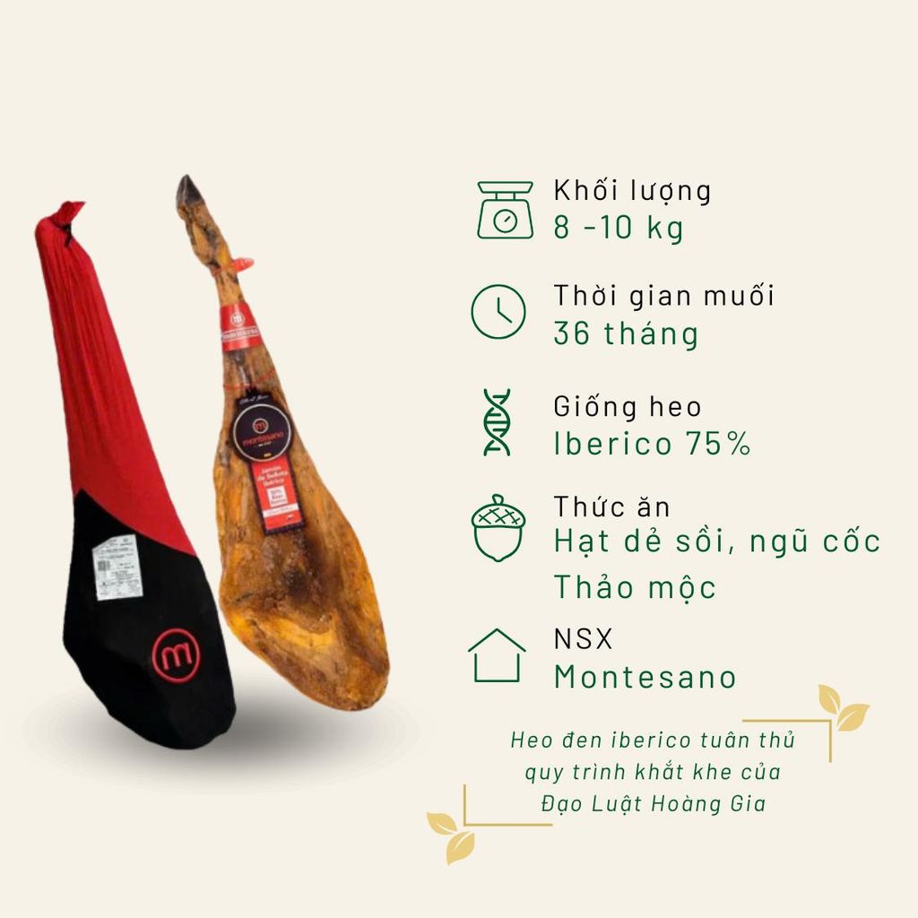 Đùi sau Iberico Bellota 75% có xương nhãn đỏ muối 36 tháng