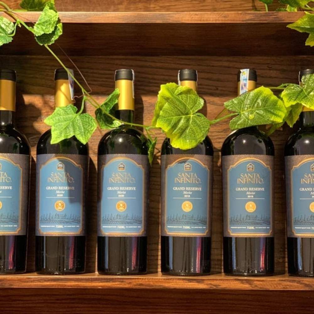 Rượu vang đỏ Chile Santa Infinito Grand Reserve Merlot 14% Central Valley 2016