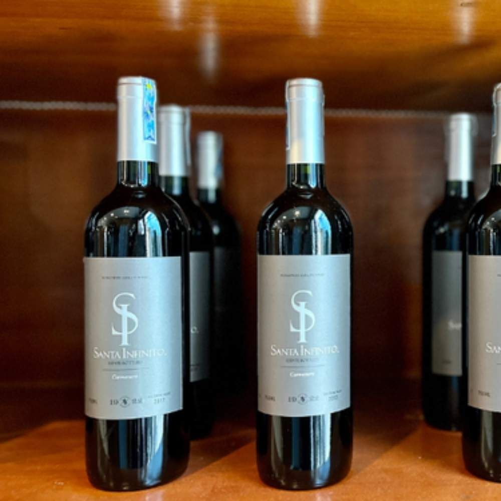 Rượu vang đỏ Chile Santa Infinito Varietal Carmenere 13.5% Central Valley 2016