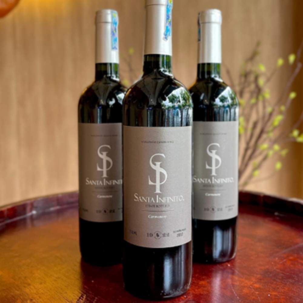 Rượu vang đỏ Chile Santa Infinito Varietal Carmenere 13.5% Central Valley 2016