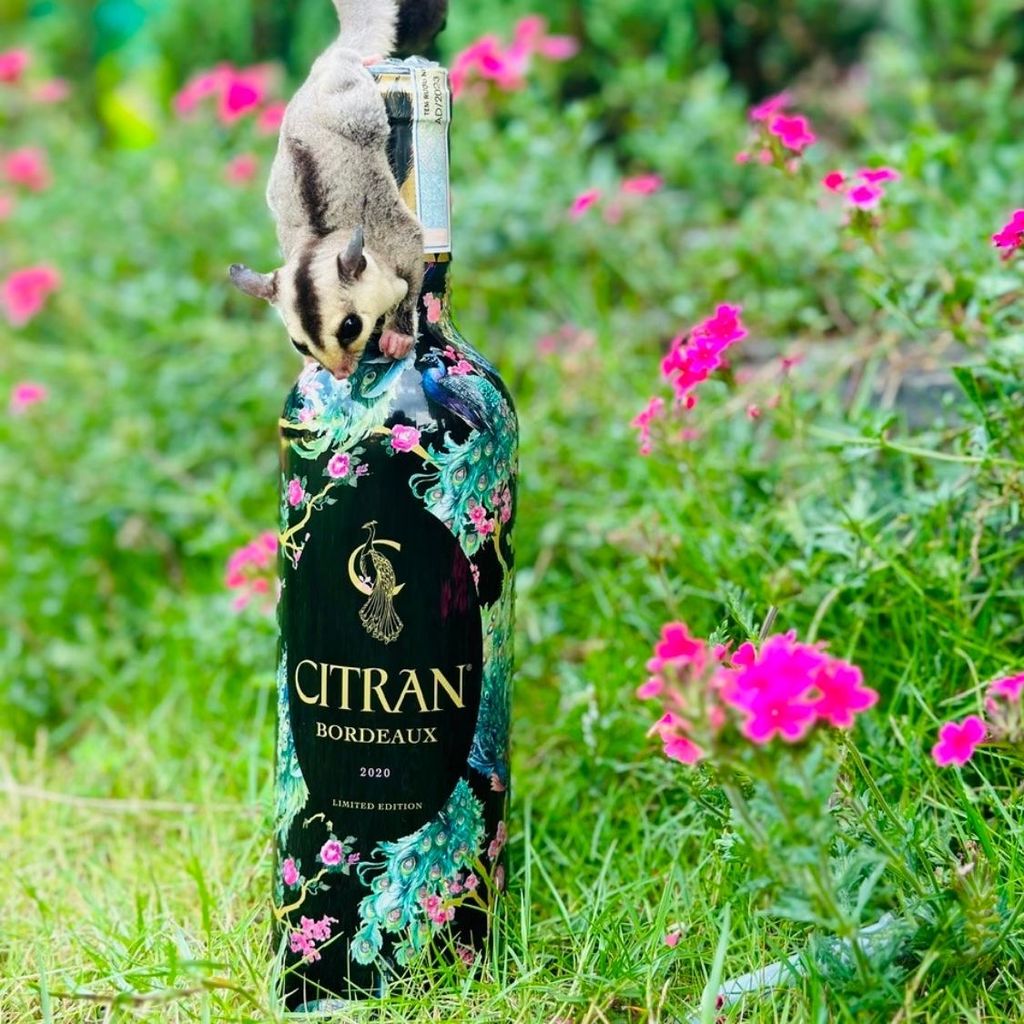 Rượu vang Citran Bordeaux Superieur 2020 Limited Edition