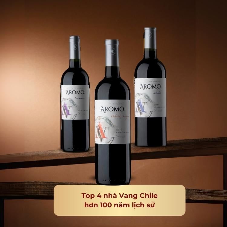 Rượu vang đỏ Chile Aromo Carmenere 13.5% Maule Valley 2016