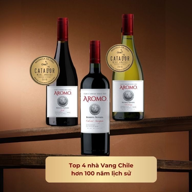 Rượu vang đỏ Chile Aromo Reserva Privada Cabernet Sauvignon 13.5% Maule Valley 2019