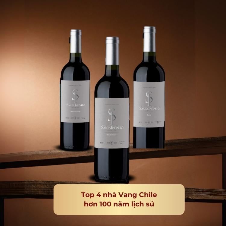 Rượu vang đỏ Chile Santa Infinito Varietal Carmenere 13.5% Central Valley 2016