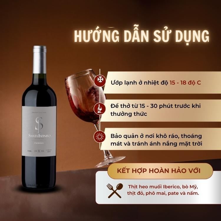 Rượu vang đỏ Chile Santa Infinito Varietal Carmenere 13.5% Central Valley 2016