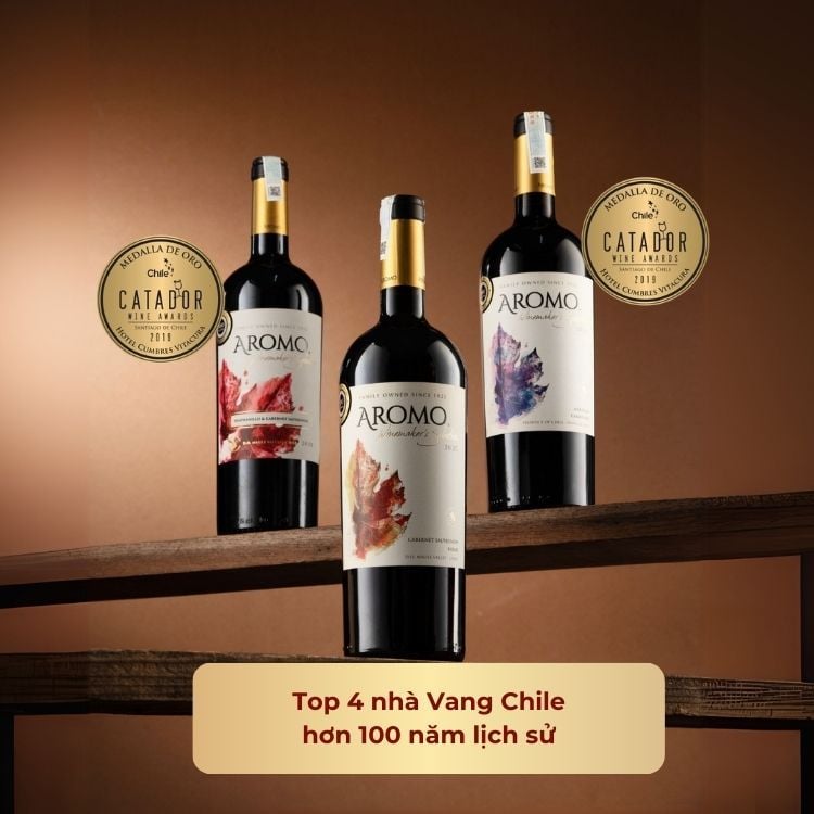 Rượu vang đỏ Chile Winemakers Selection Marselan & Carmenere 13.5% Maule Valley 2015