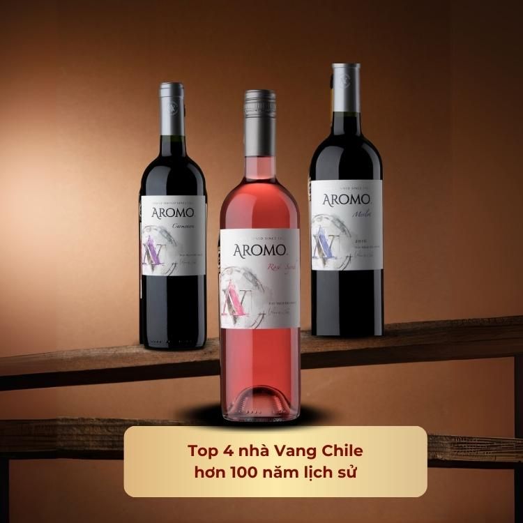 Rượu vang hồng Chile Aromo Rosé Syrah 13.5% Maule Valley 2020